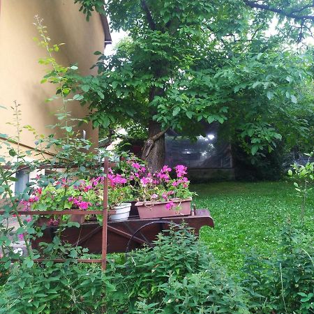 Apartament W Domu Na Wsi Tomaszow Lubelski Ngoại thất bức ảnh
