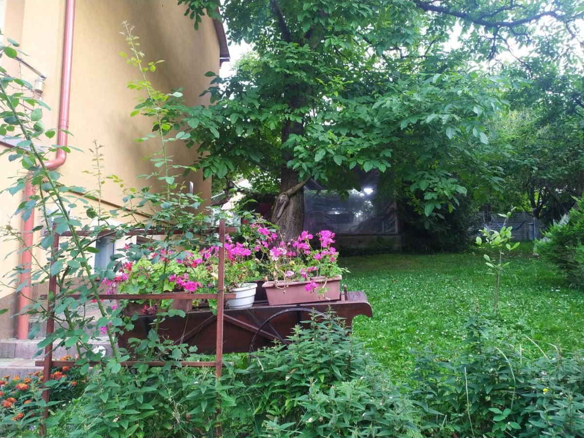 Apartament W Domu Na Wsi Tomaszow Lubelski Ngoại thất bức ảnh