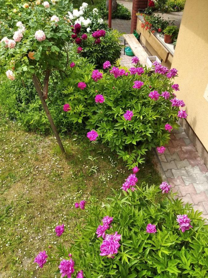 Apartament W Domu Na Wsi Tomaszow Lubelski Ngoại thất bức ảnh